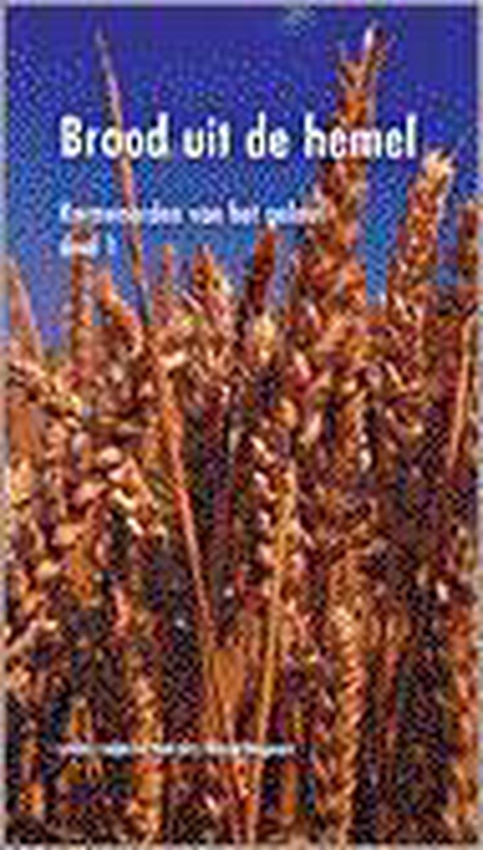 Brood uit de hemel (theologische verkenningen)