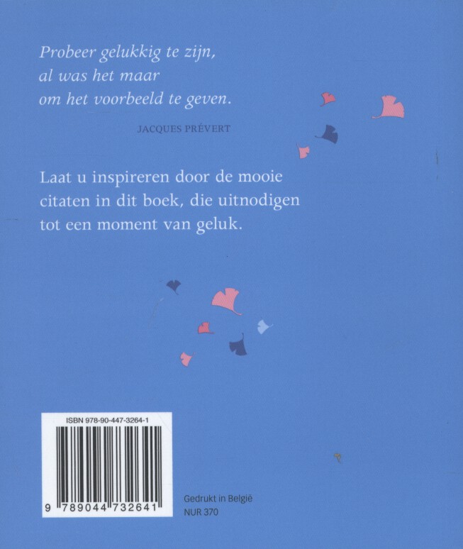 Elke dag een beetje geluk achterkant