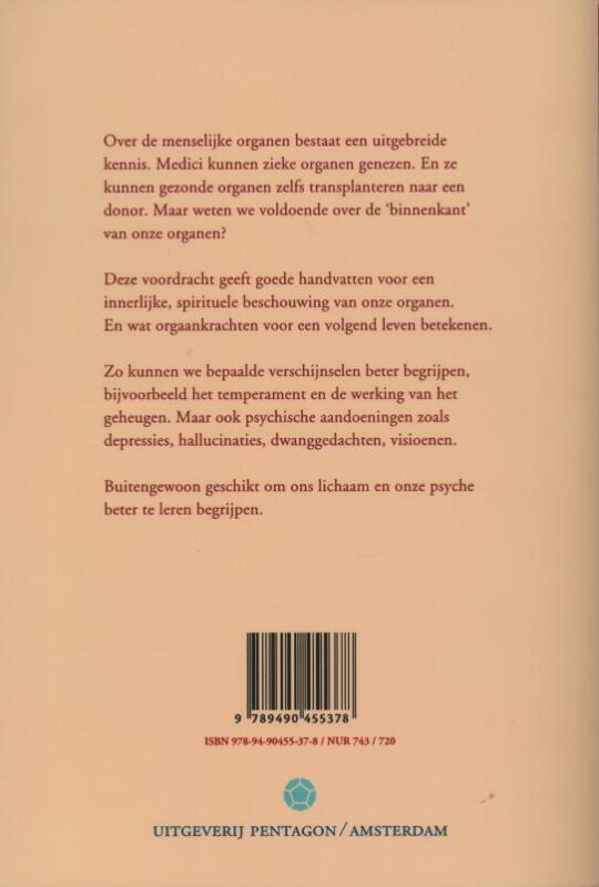 De organen innerlijk gezien achterkant