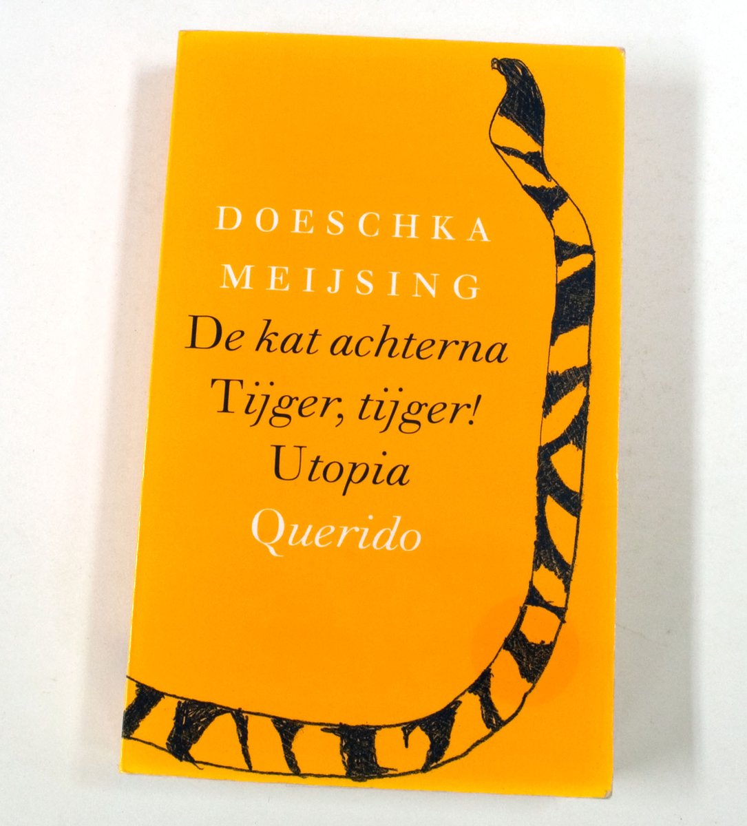 Kat Achterna Tijger Tijger Utopia