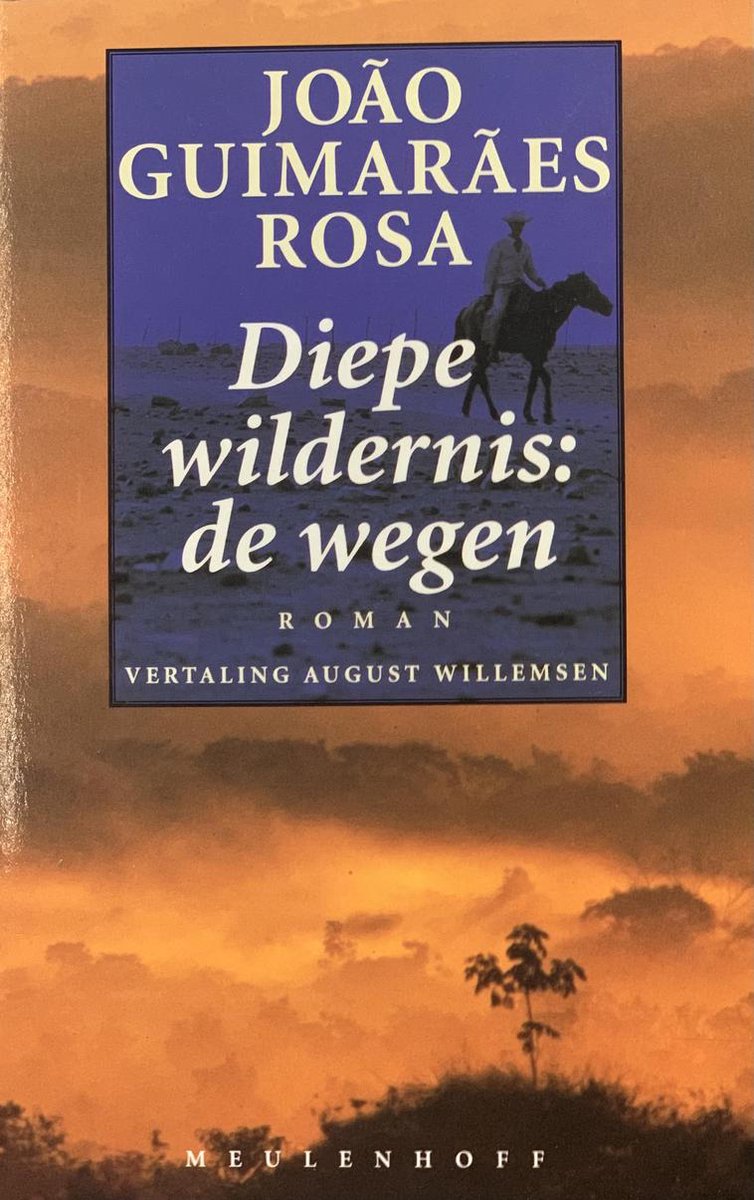 Diepe Wildernis : de wegen