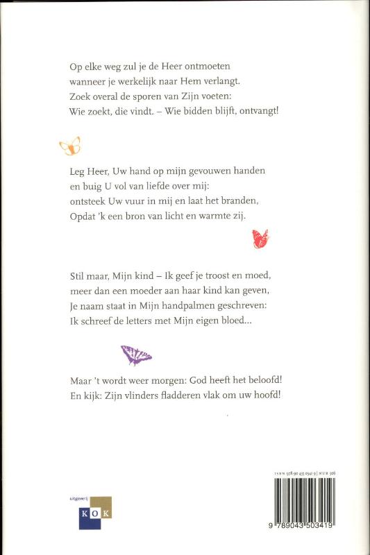 Een vlinder van God achterkant