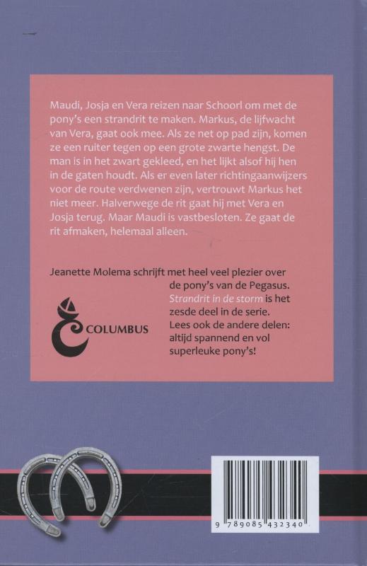 Strandrit in de storm / De pony's van de Pegasus / 6 achterkant