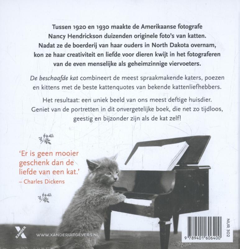 De beschaafde kat achterkant