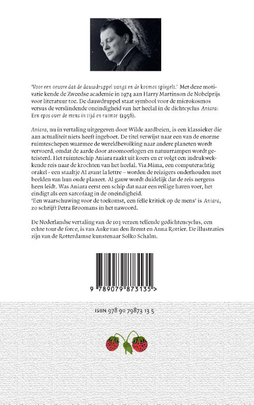 Aniara / Klassieke aardbeien / 4 achterkant