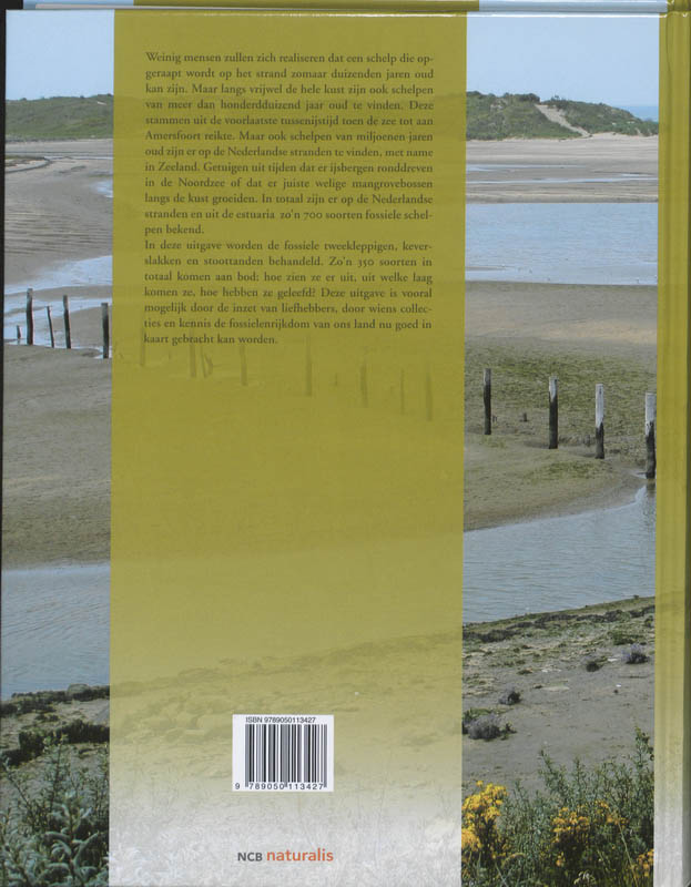 De fossiele schelpen van de Nederlandse kust achterkant