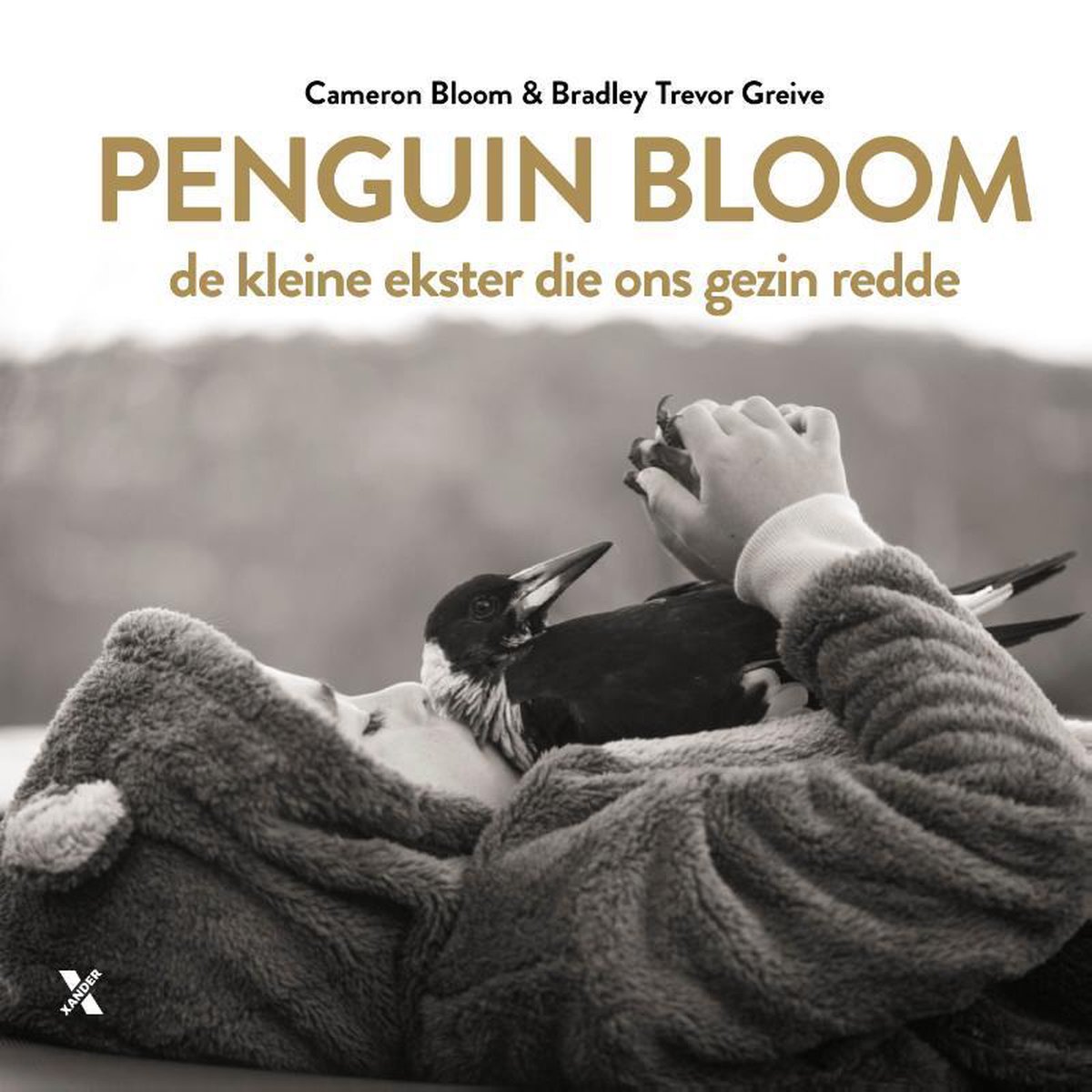 Penguin bloom