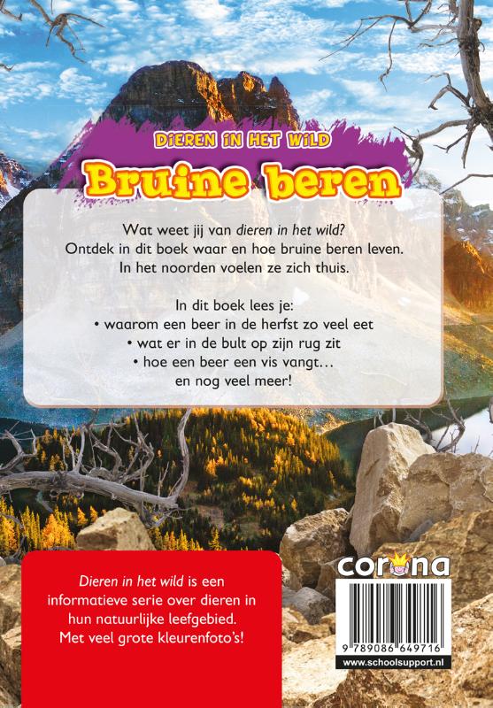 Bruine beren / Dieren in het wild achterkant