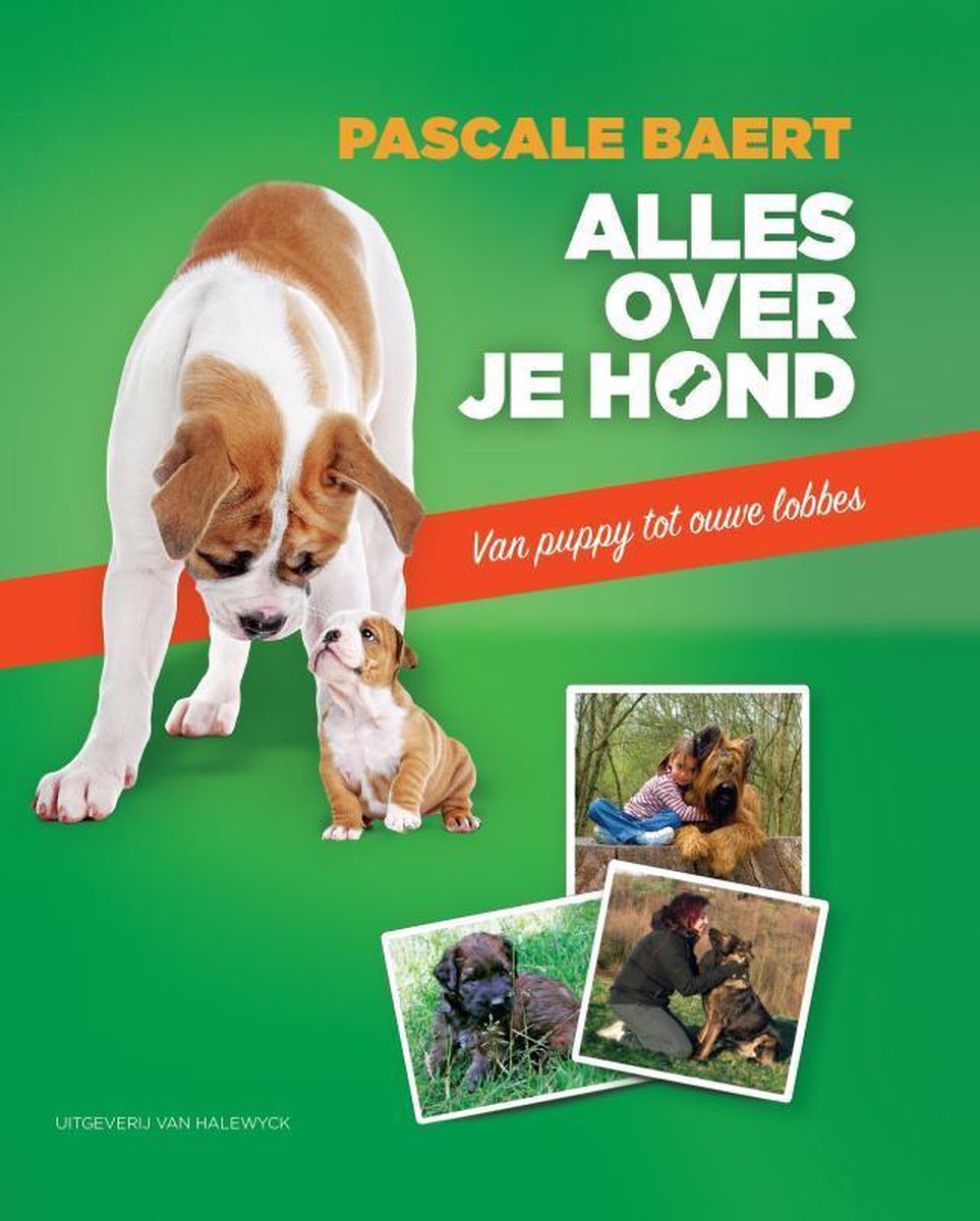 Alles over je hond