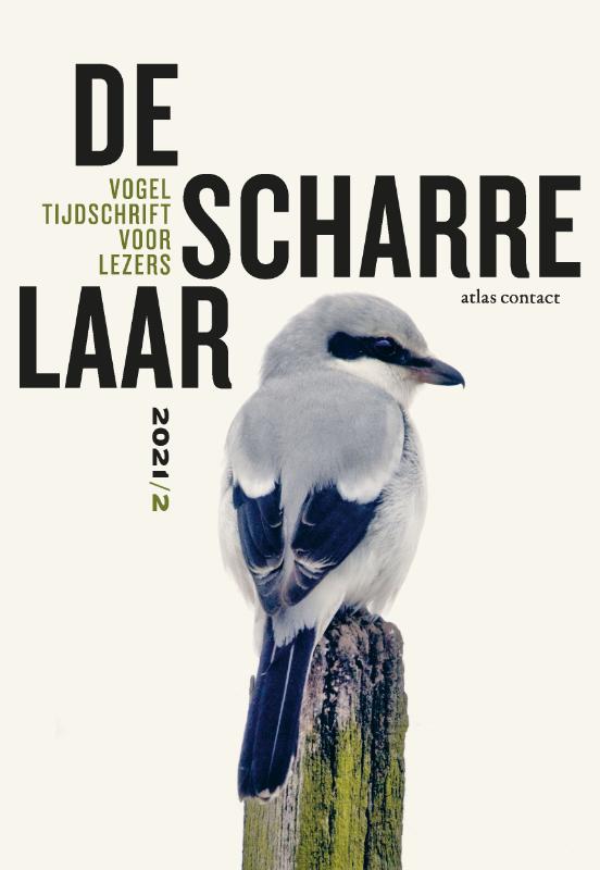 De Scharrelaar 6 -   De scharrelaar - 2021/2
