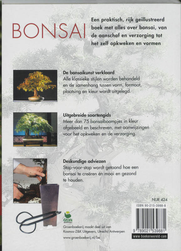 Bonsai achterkant
