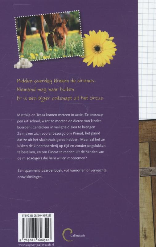 Paard ontdekt achterkant