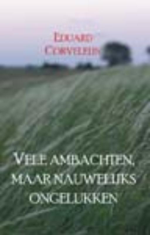 Vele ambachten, maar nauwelijks ongelukken