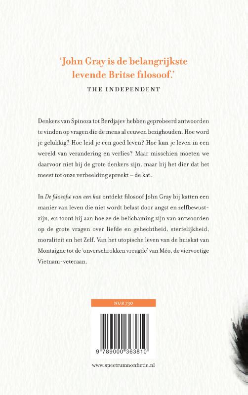 De filosofie van een kat achterkant