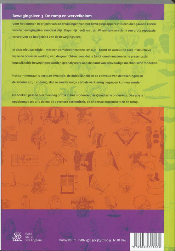 Bewegingsleer 3 De romp en de wervelkolom achterkant
