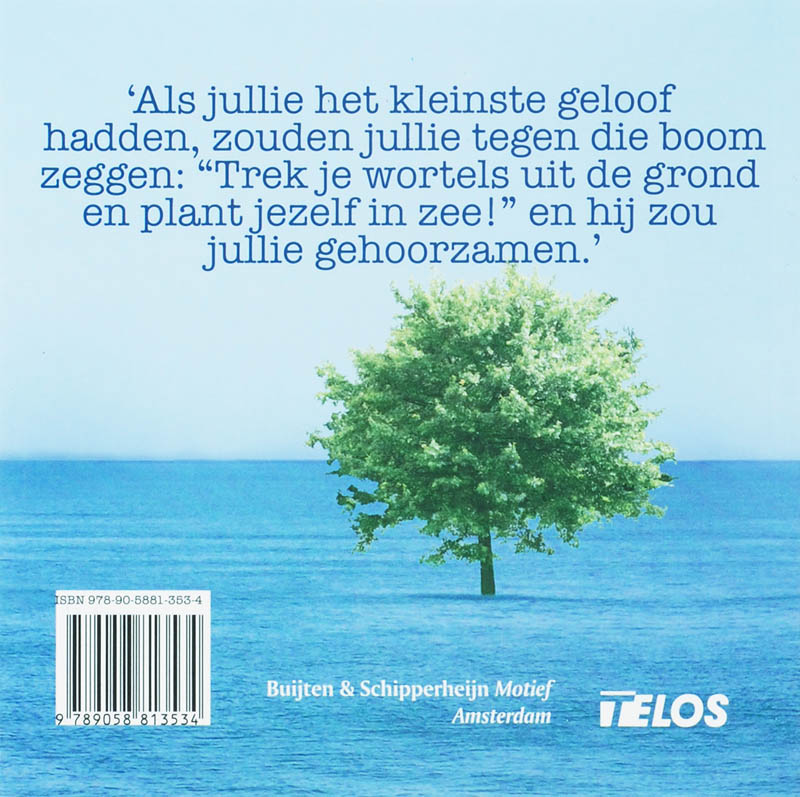 Vliegende Boom achterkant