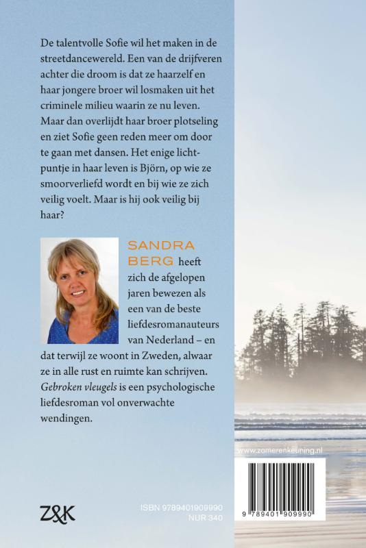 Gebroken vleugels achterkant