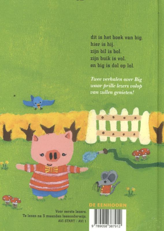 Het boek van big achterkant