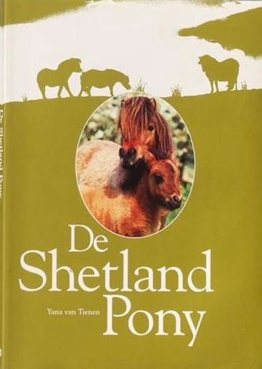 De Shetland pony.