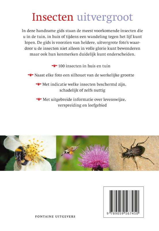 Insecten uitvergroot achterkant