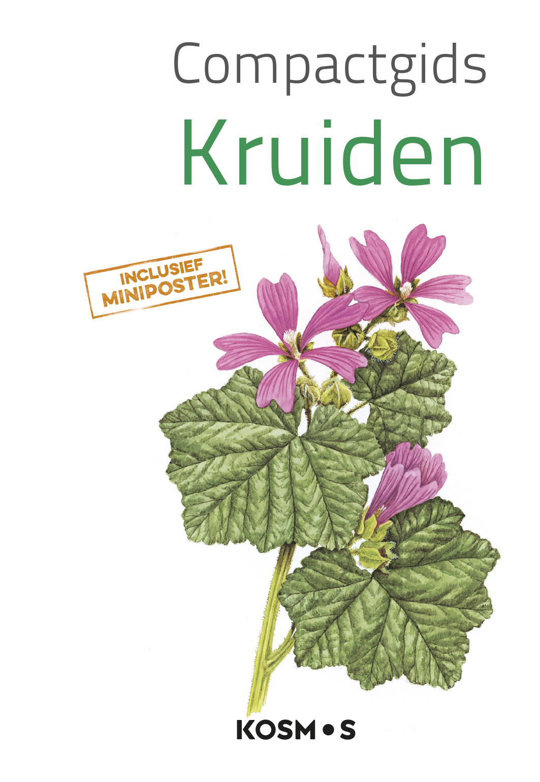 De Fontein Compactgids: Kruiden (pb)