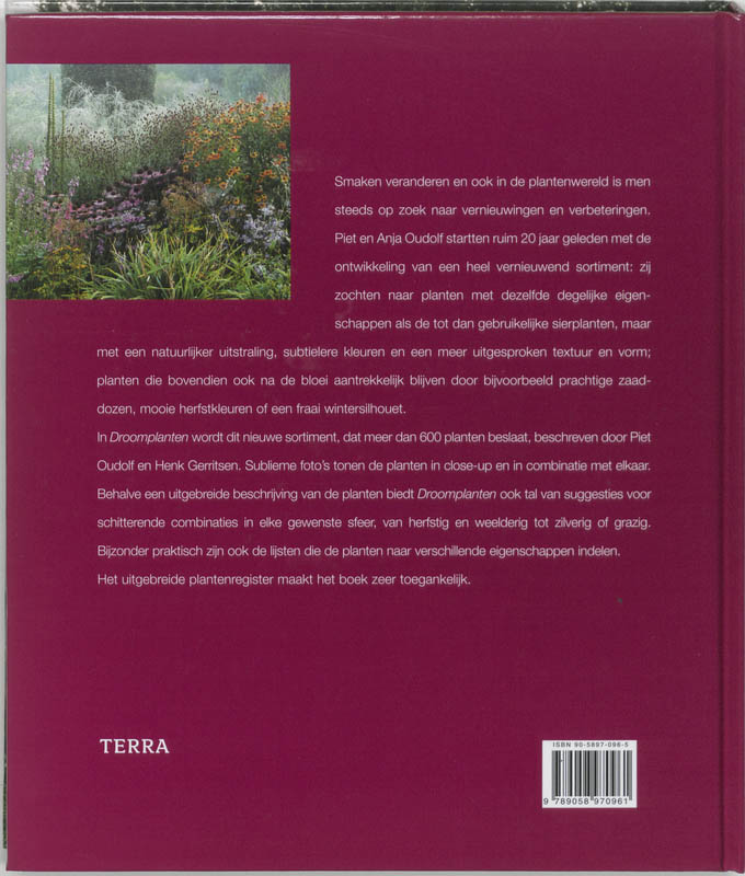 Droomplanten achterkant