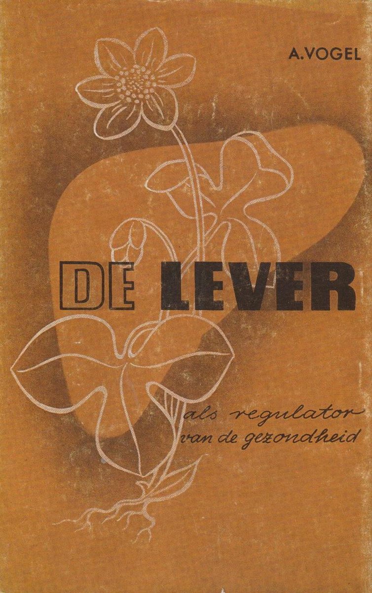 Lever als regulator van de gezondheid