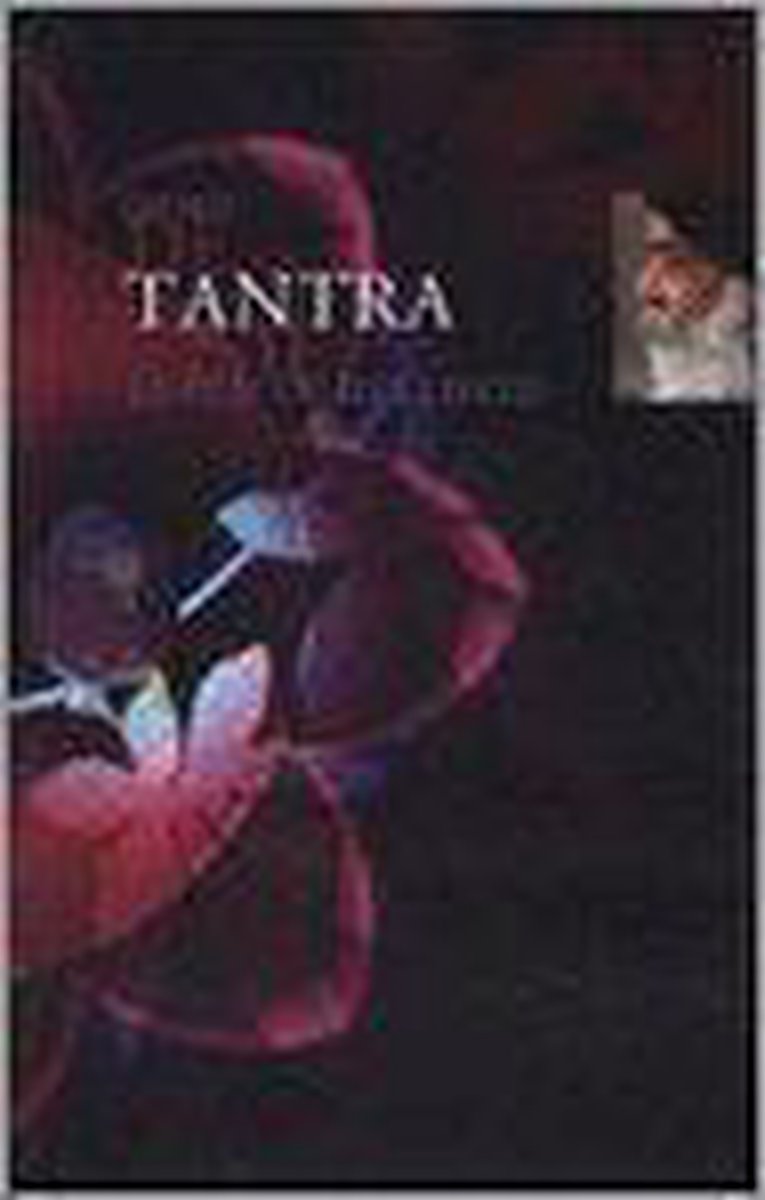 De Tantra Visie