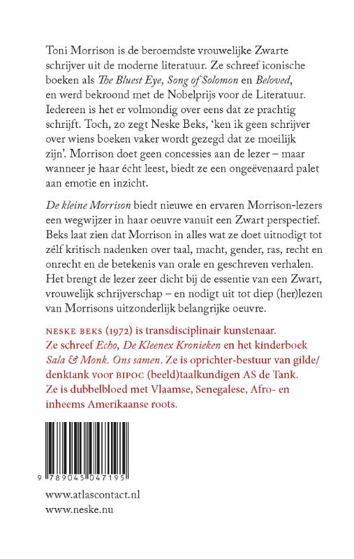 De kleine Morrison / Kleine boekjes - grote inzichten / 1 achterkant