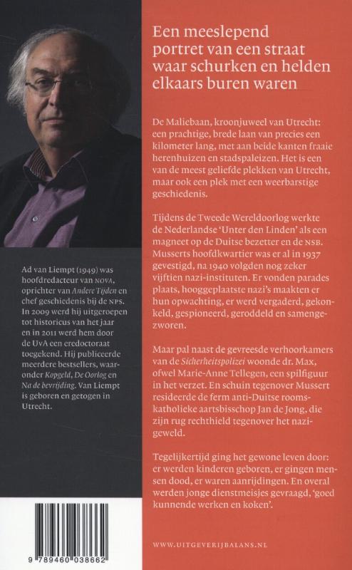 Aan de Maliebaan achterkant