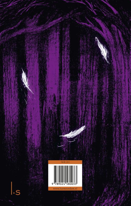 De Tovenaars van Ooit / De Tovenaars van Ooit / 1 achterkant