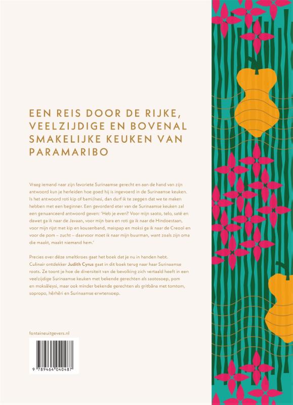 Paramaribo achterkant