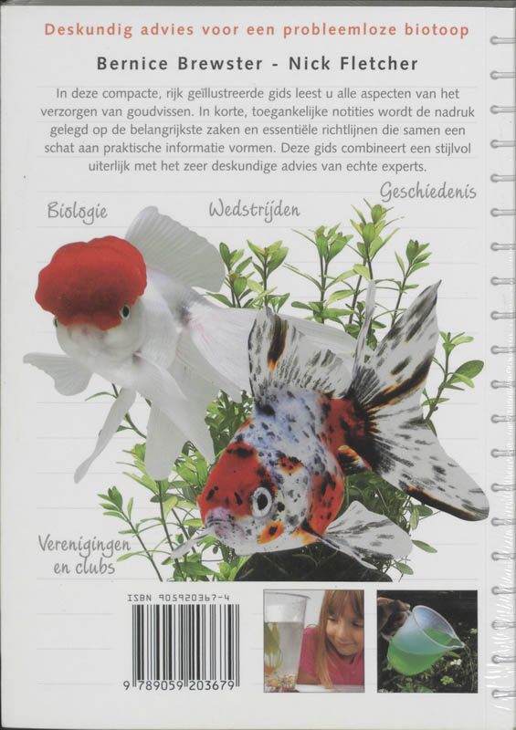 Goudvissen achterkant