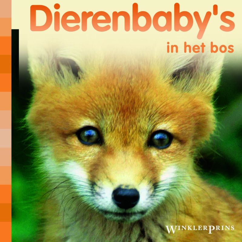 Wp Dierenbaby S In Het Bos