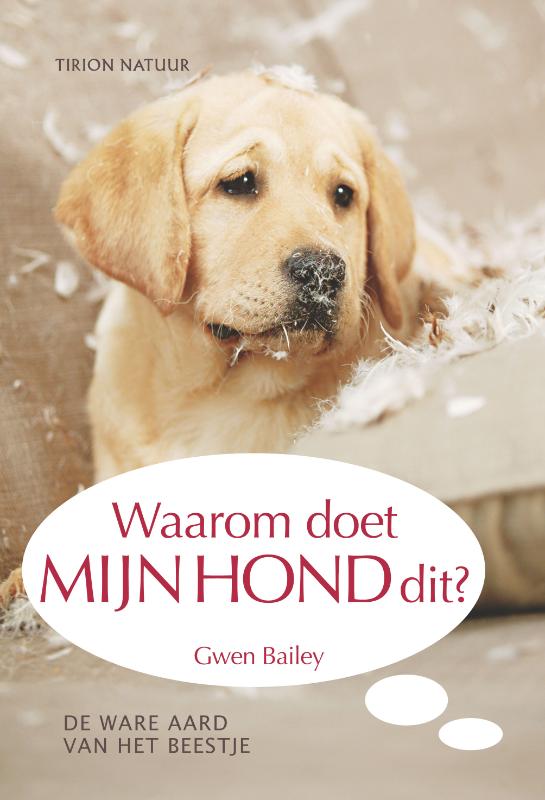 Waarom Doet Mijn Hond Dit?