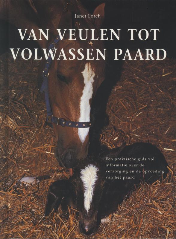 Van Veulen Tot Volwassen Paard