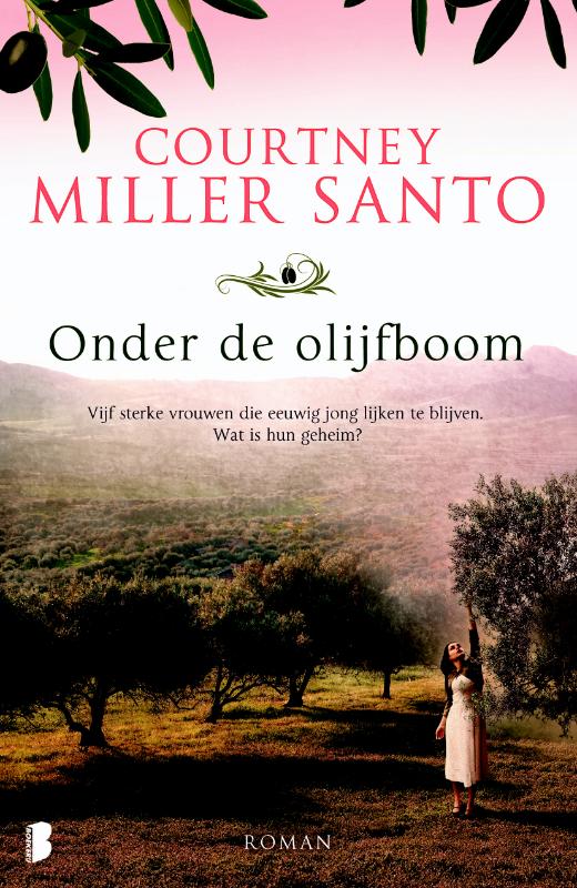 Onder de olijfboom