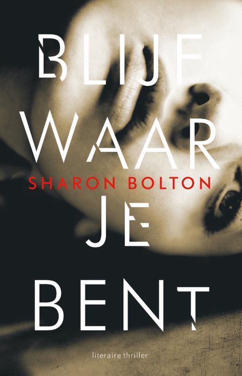 Blijf waar je bent / Lacey Flint / 3