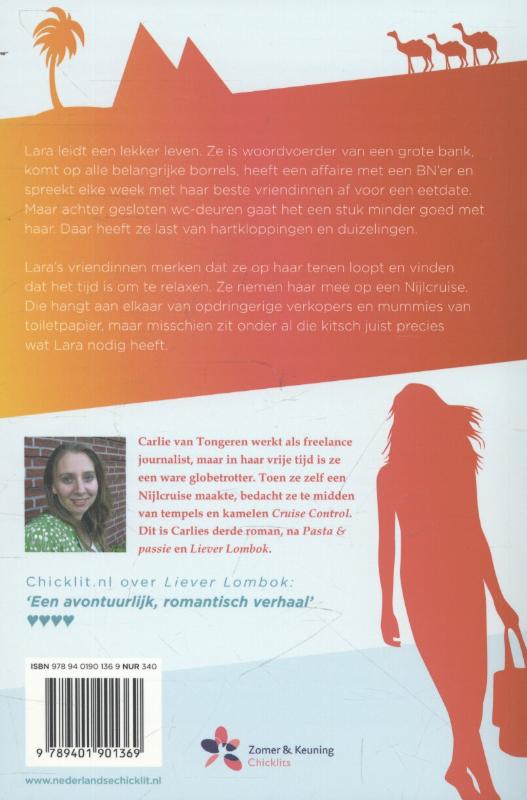 Cruise control achterkant