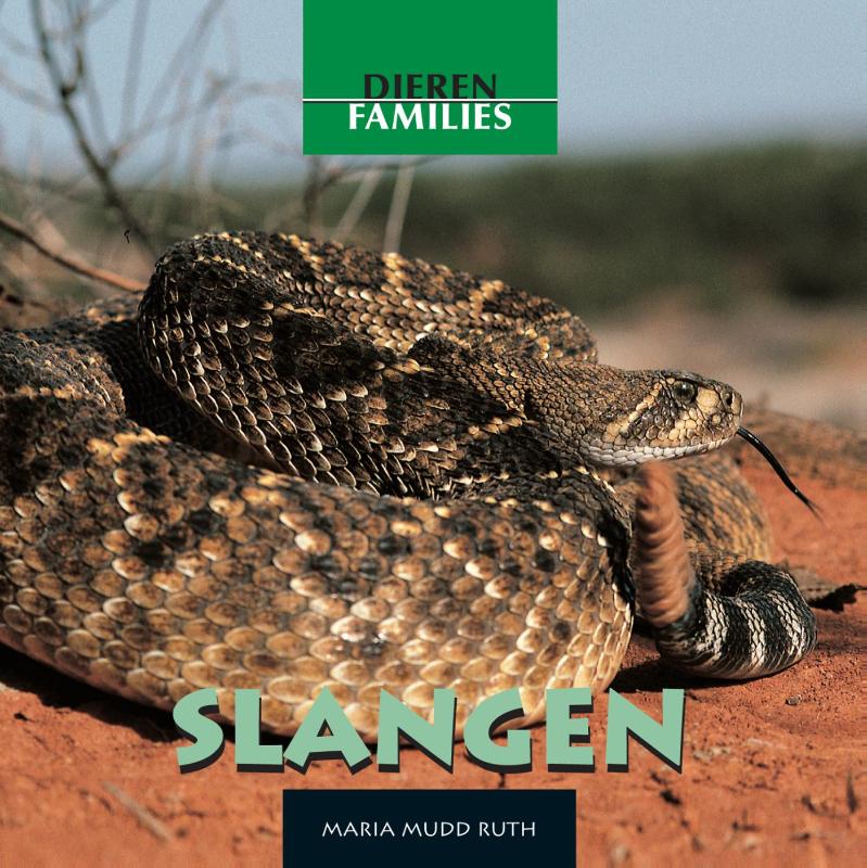Dierenfamilies - Slangen