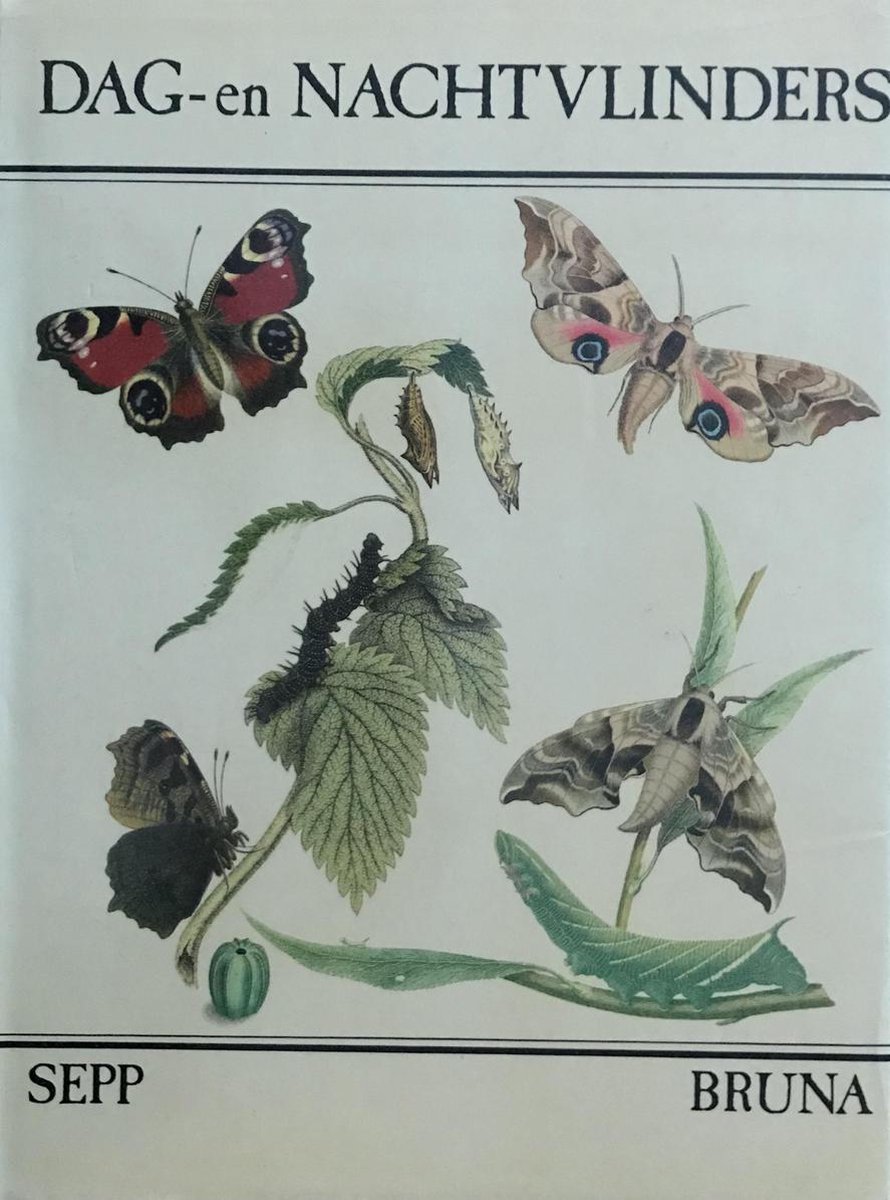 Dag- en nachtvlinders