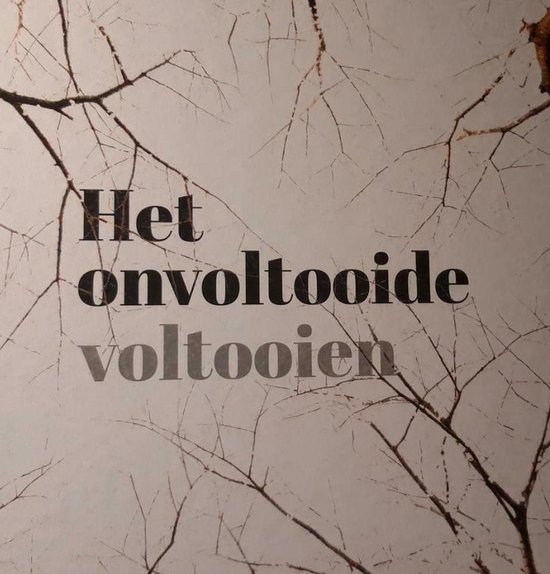 Het onvoltooide voltooien - Boschoord