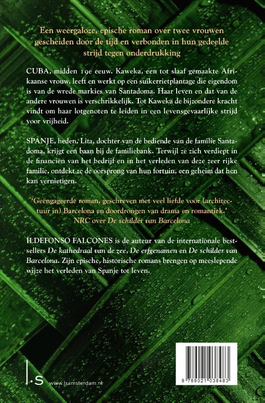 De vrouwen van de suikerrietplantage achterkant