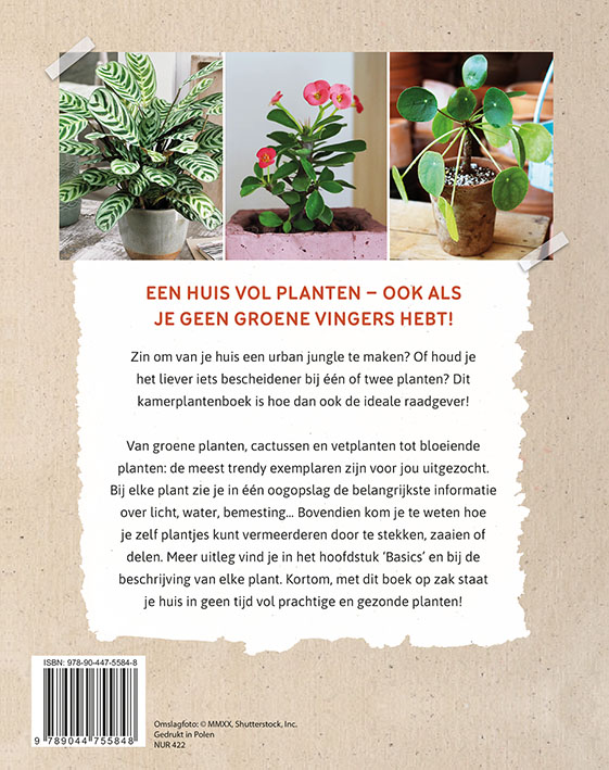 Raadgever kamerplanten achterkant