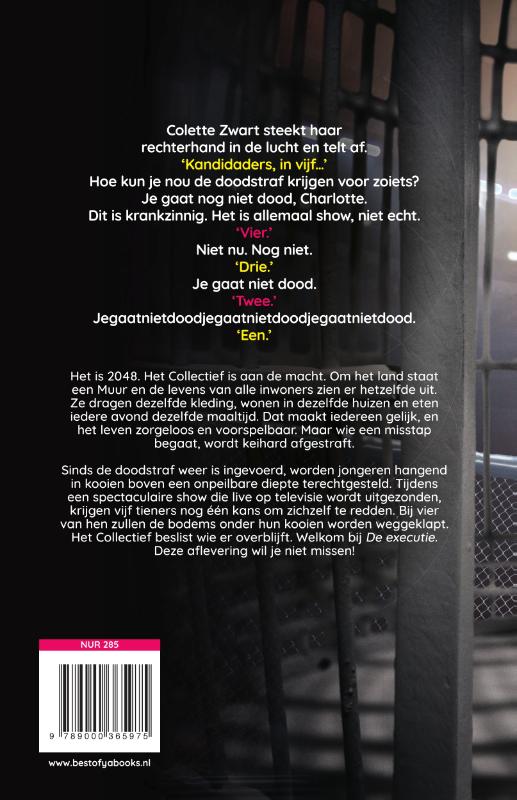 De executie / Best of YA achterkant