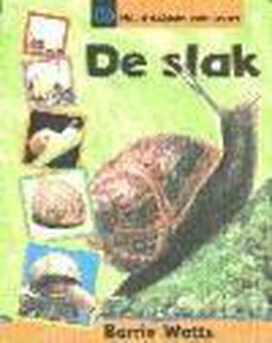 De Slak / Het ontstaan van leven