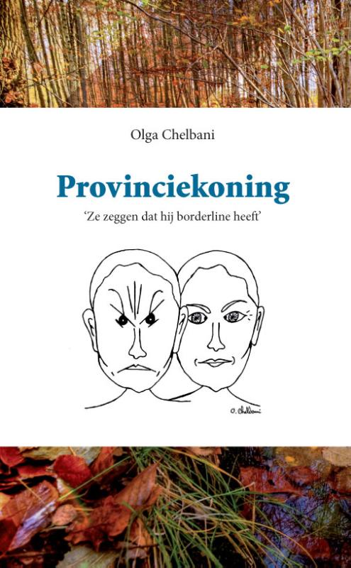 Provinciekoning