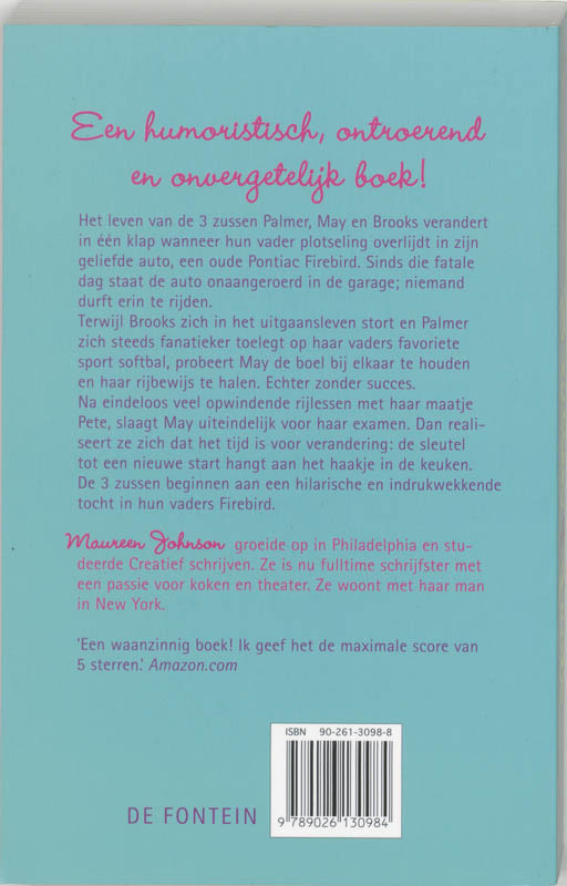 3 Zussen 1 Auto achterkant