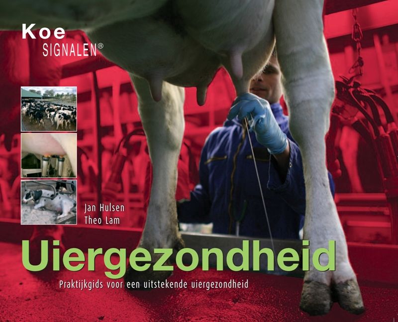 Uiergezondheid / Koesignalen / 4