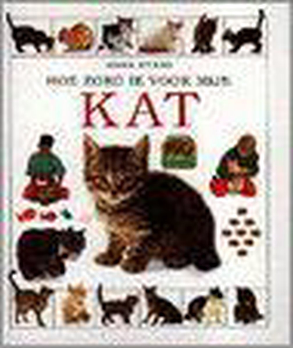 Hoe zorg ik voor mijn kat